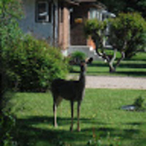 Meet your Posher, Glennis